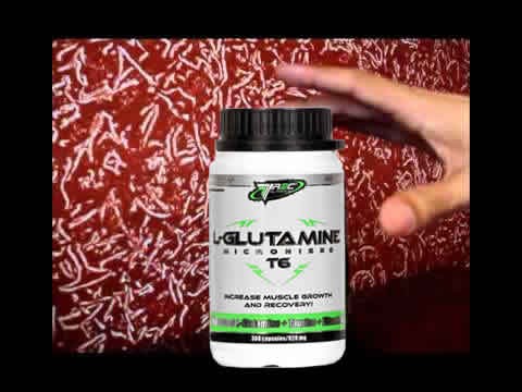 Saiba tudo sobre Glutamina
